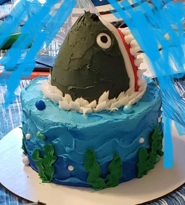 a 6 inch round cake made to look like shark coming up from the water.